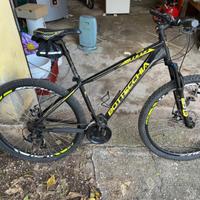 Mtb 29 telaio 44