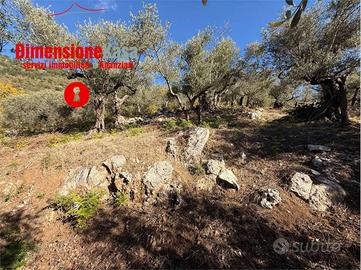 Terreno di 12022 m² a Roccarainola