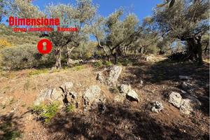 Terreno di 12022 m² a Roccarainola