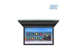 SCHERMO PER TETTO FULL HD DA 17,3"