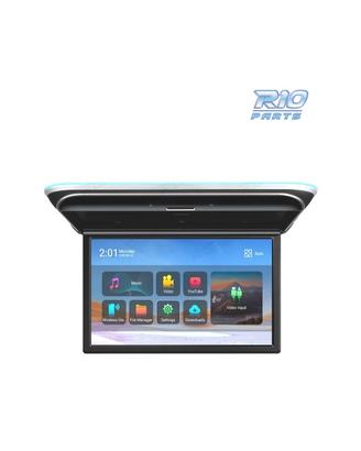 SCHERMO PER TETTO FULL HD DA 17,3"