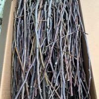 Rametti naturali NON trattati,decorazioni/roditori