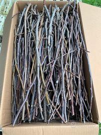 Rametti naturali NON trattati,decorazioni/roditori