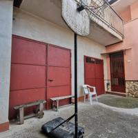 CANESTRO CON PIANTANA 