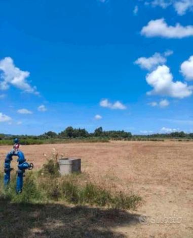 Terreno agricolo