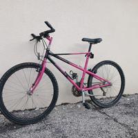 bici bicicletta Bianchi ragno