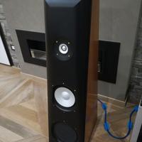 Super ribasso. S  c ambio Diffusori thiel cs 2.3