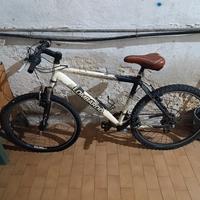 bicicletta Mountain bike lombardo