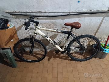 bicicletta Mountain bike lombardo
