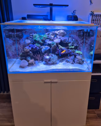 ACQUARIO AQPET CABINET 90  - 90x50x50 Marino 225 L