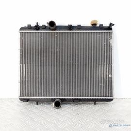 Radiatore Motore Acqua Peugeot 207 1.4 1.6 Benzina