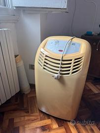 Condiziontore pinguino