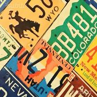 Quadro in ( LEGNO ) con stampe targhe America