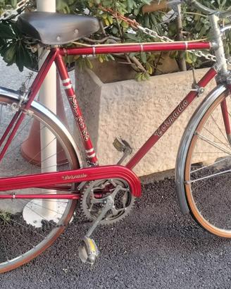 Bicicletta uomo Vintage Torpado