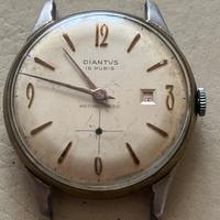 Orologio Diantus