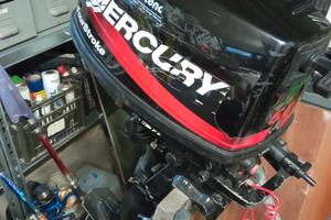 Mercury 5cv