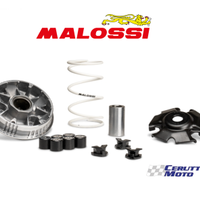 Variatore Malossi Multivar Sym Symphony Jet X / 14