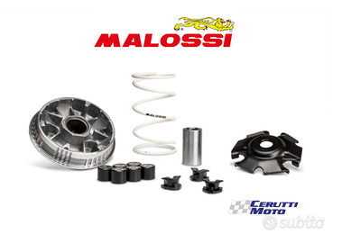 Variatore Malossi Multivar Sym Symphony Jet X / 14