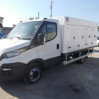 Iveco daily 35c15 2019 cella surgelati e.6