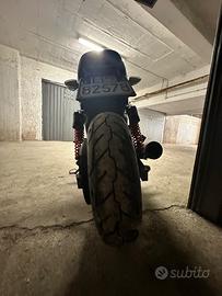 Harley-Davidson Street Rod - 2019