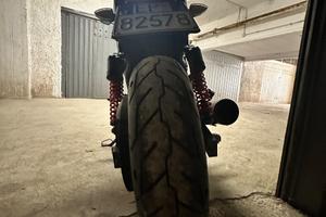 Harley-Davidson Street Rod - 2019