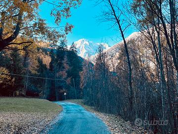 Una settimana in estate in montagna