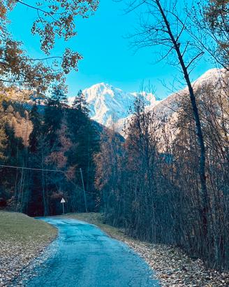 Morgex | Tra Bosco e Monte Bianco