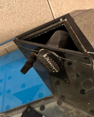Acquario marino/dolce completo con mobile e sump