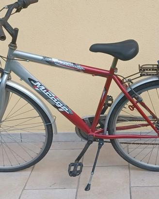 Biciclette da uomo