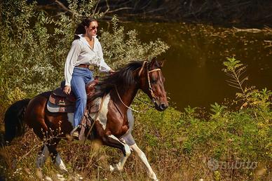 Cavallo per trekking