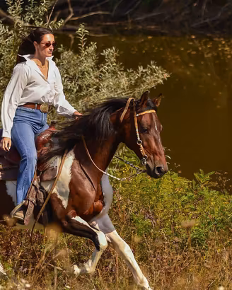 Cavallo per trekking