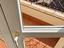 Immagine 22
