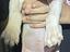 Immagine 5