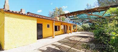 Terreno agricolo a Berchidda