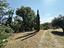 Immagine 24