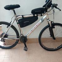 Speed bici elettrica pedalata assistita x-race