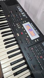 Tastiera Roland E-300 con alimentazione e supporto
