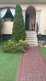 Villino a schiera Arredato