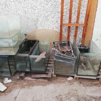 acquari per allevamento