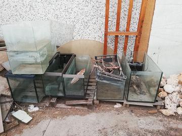 acquari per allevamento