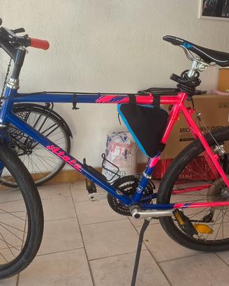 Bicicletta Atlas