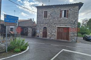 Rustico/Casale/Corte Civitella Paganico