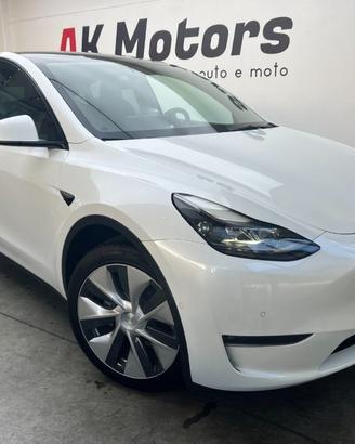 TESLA Model Y Long Ranger Dual Motor AWD