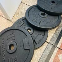 Pesi palestra: dischi e manubri Domyos