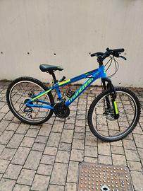 Bici 