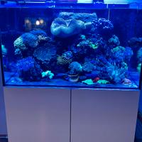 Acquario completo