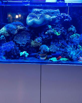 Acquario completo