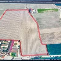 Terreno 22.000 mq a Vigone (TO) pianeggiante