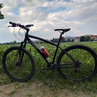MTB Uomo Casadei