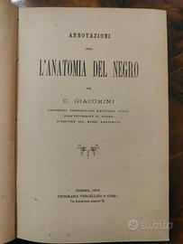 Giacomini, Annotazioni sopra l’anatomia del Negro